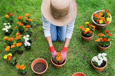 mejores blogs de jardineria