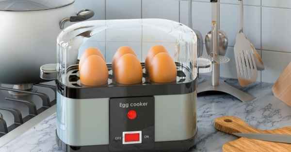 10 Mejores Cocedores de huevos: GUIA【2023】